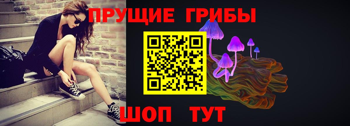 Псилоцибиновые грибы мухоморы  Вход с VPN  Будённовск  Псилоцибиновые грибы GOLDEN TEACHER 