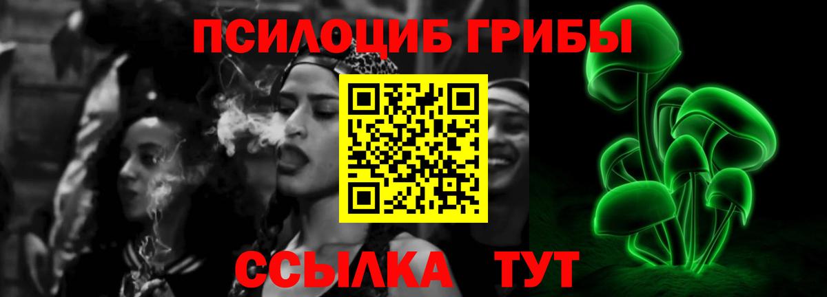 Галлюциногенные грибы Magic Shrooms Будённовск