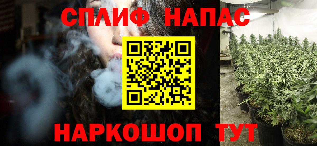 Бошки Шишки гибрид  Бошки Шишки тримм  Вход с VPN  Будённовск  МАРИХУАНА индика 